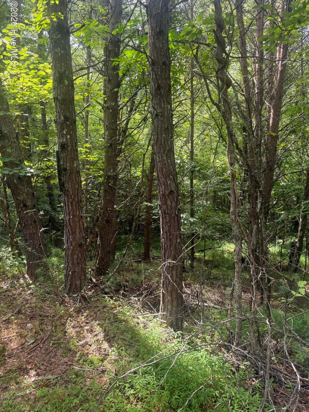 Photo of 1819 Joyce Road, Murphy, NC 28906 (MLS # 100593991)