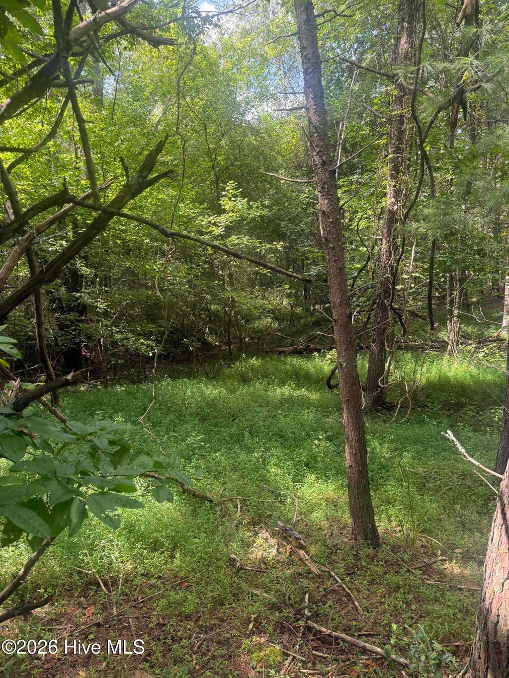 Photo of 1819 Joyce Road, Murphy, NC 28906 (MLS # 100593991)