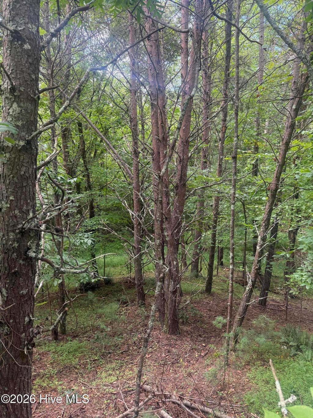 Photo of 1819 Joyce Road, Murphy, NC 28906 (MLS # 100593991)