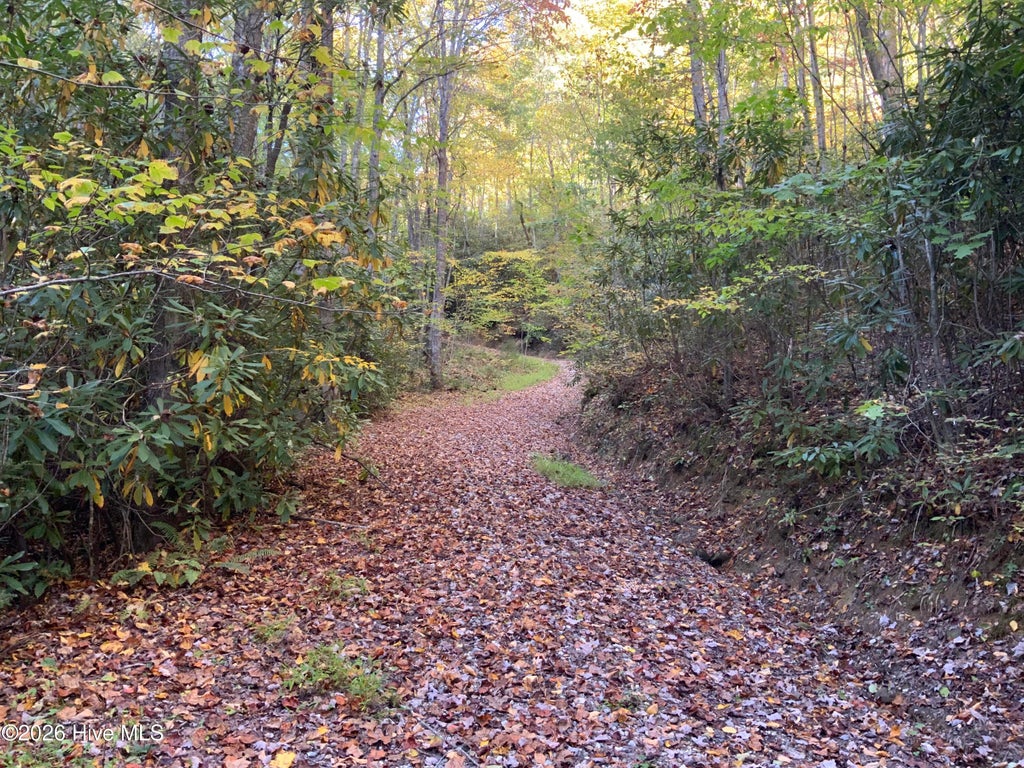 Photo of 23 Union Hill Road, Topton, NC 28781 (MLS # 100613114)