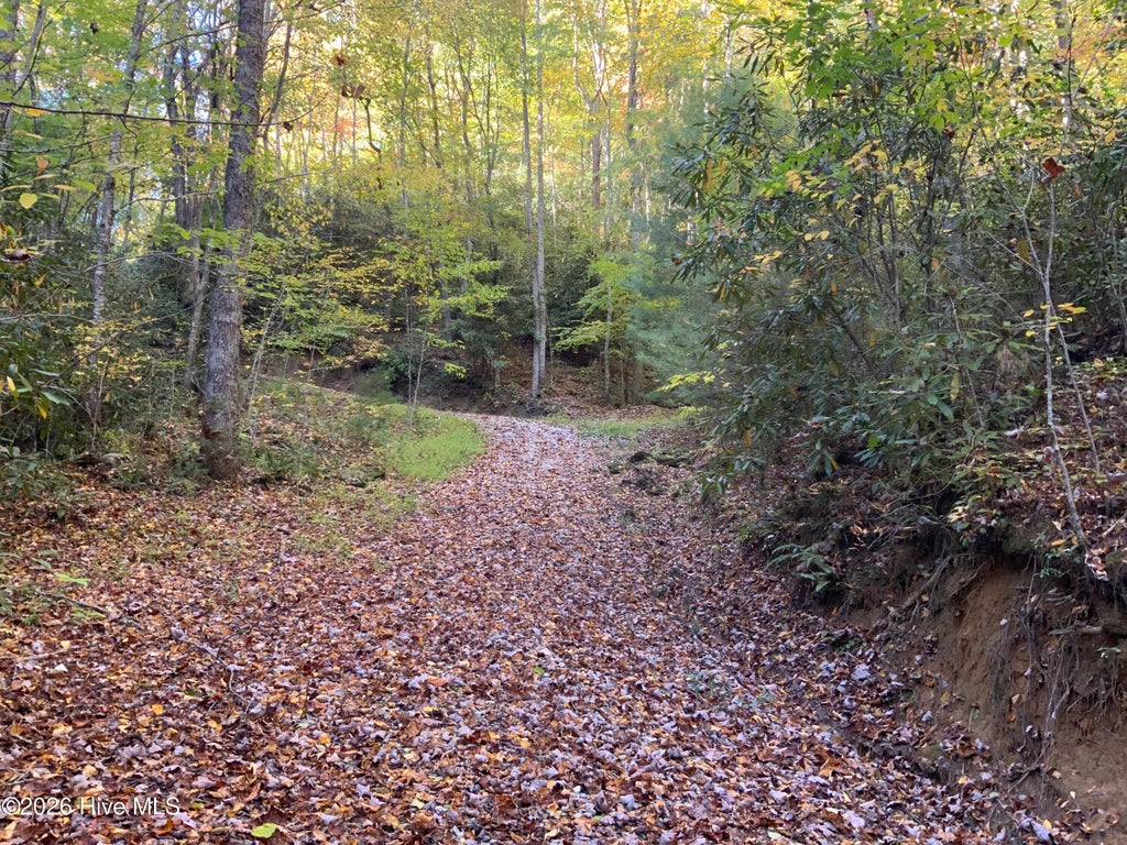 Photo of 23 Union Hill Road, Topton, NC 28781 (MLS # 100613114)