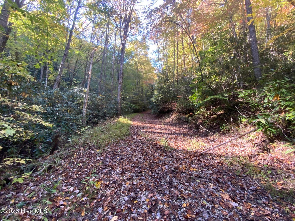 Photo of 23 Union Hill Road, Topton, NC 28781 (MLS # 100613114)