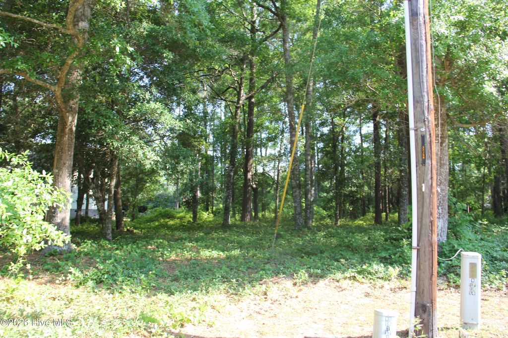 Photo of 3406 Marina Drive SE, Bolivia, NC 28422 (MLS # 100570555)