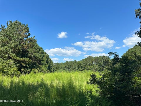 Vacant Land For Sale - 1268 Cherry Town Road<br/> Hallsboro, NC 28442