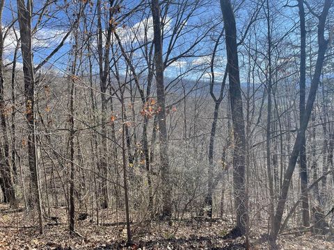 Vacant Land For Sale - LOT 37C Ash Branch Circle<br/> Hayesville, NC 28904