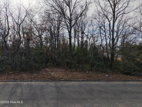 Vacant Land For Sale - 002 College Drive<br/> Laurinburg, NC 28352