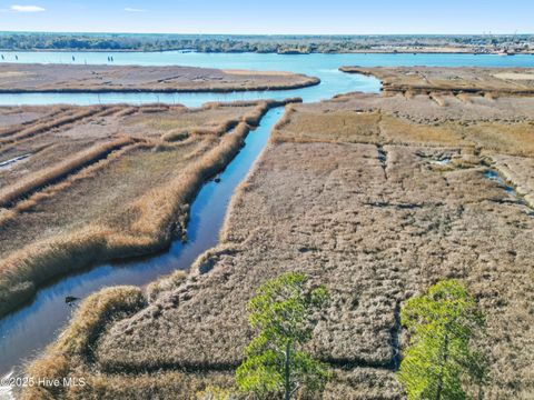 Tiny photo for 1503 Riverview Terrace, Wilmington, NC 28401 (MLS # 100545730)