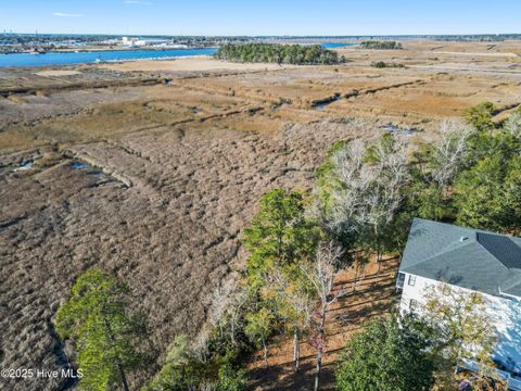 Tiny photo for 1503 Riverview Terrace, Wilmington, NC 28401 (MLS # 100545730)