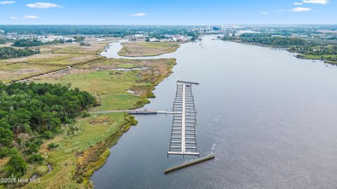 Tiny photo for 1503 Riverview Terrace, Wilmington, NC 28401 (MLS # 100545730)