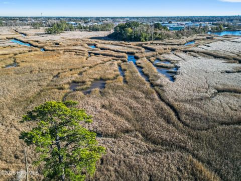 Tiny photo for 1503 Riverview Terrace, Wilmington, NC 28401 (MLS # 100545730)