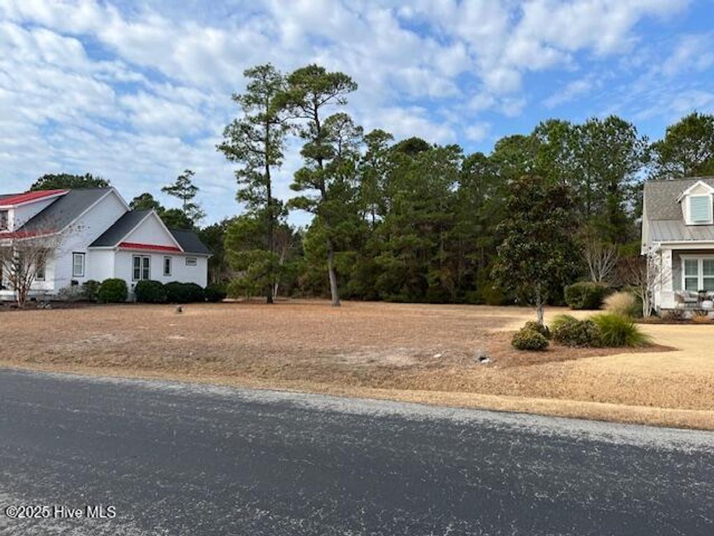 Photo of 4160 Skeffington Court, Southport, NC 28461 (MLS # 100546693)