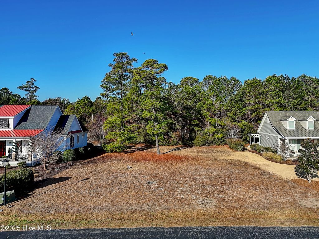 Photo of 4160 Skeffington Court, Southport, NC 28461 (MLS # 100546693)