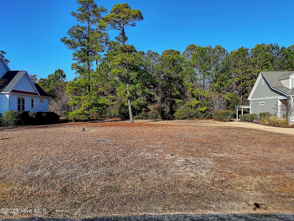 Photo of 4160 Skeffington Court, Southport, NC 28461 (MLS # 100546693)