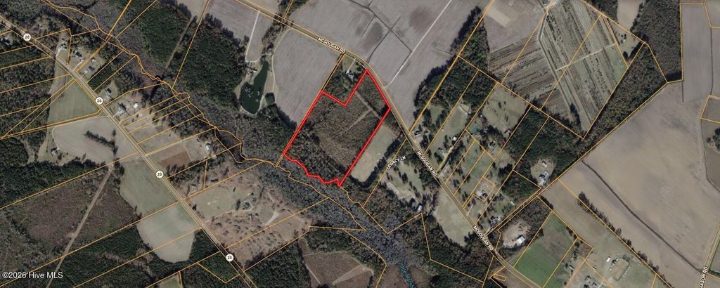 Photo of 1059 Mcgougan Road, Lumber Bridge, NC 28357 (MLS # 100561883)