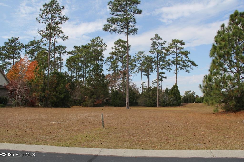 Photo of 1274 St Simons Drive SE, Bolivia, NC 28422 (MLS # 100543557)