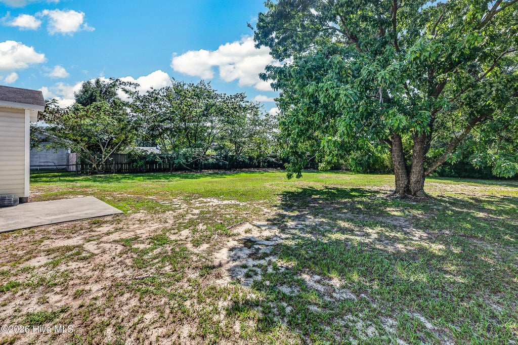 Photo of 253 Bannermans Mill Road, Richlands, NC 28574 (MLS # 100605665)
