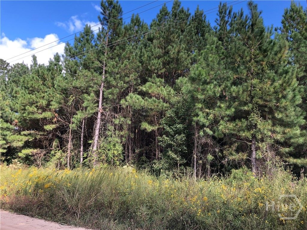 Photo of 0 Bell Road, Brooklet, GA 30415 (MLS # SA346559)