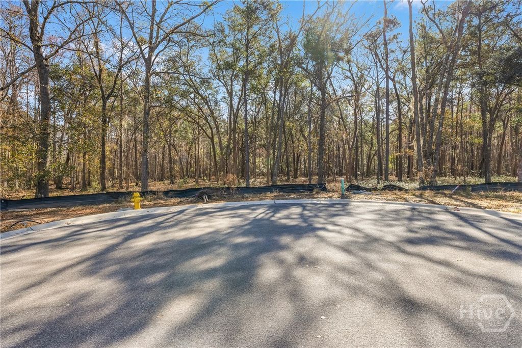 Photo of 143 Wood Haven Lane, Pooler, GA 31322 (MLS # SA349415)