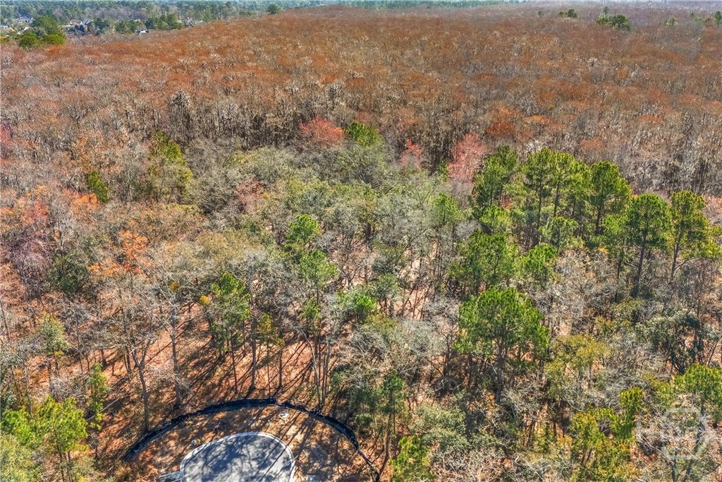 Photo of 143 Wood Haven Lane, Pooler, GA 31322 (MLS # SA349415)