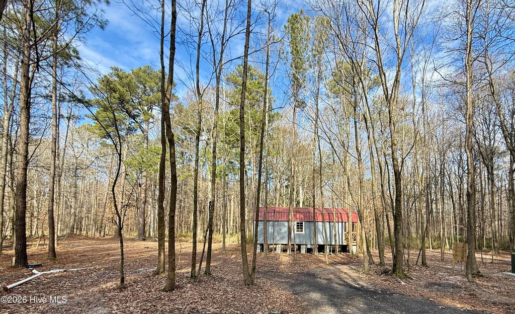 Photo of 1176 Folley Road, Elizabeth City, NC 27909 (MLS # 100549526)