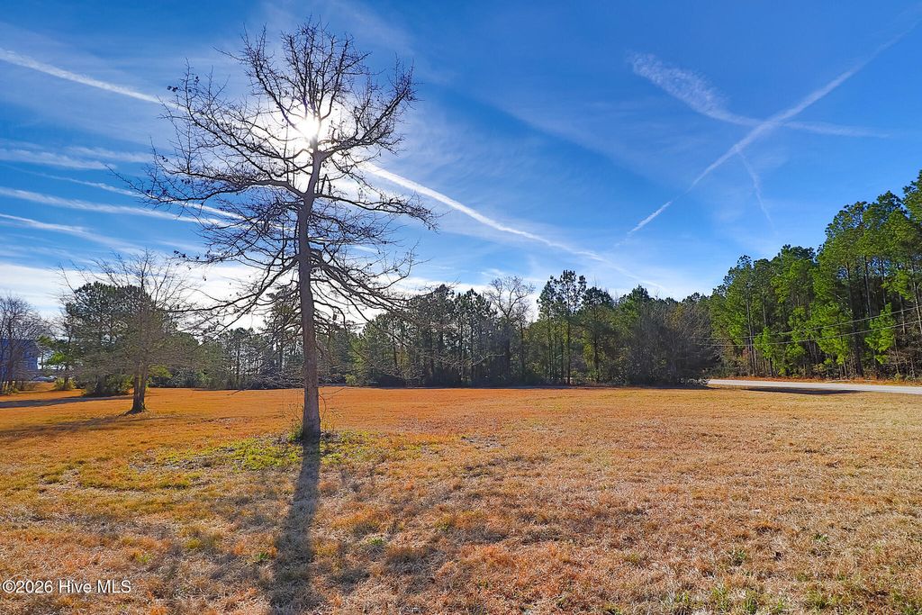 Photo of 102 Mill Landing Point Road, Newport, NC 28570 (MLS # 100551609)
