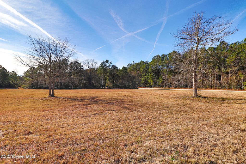 Photo of 102 Mill Landing Point Road, Newport, NC 28570 (MLS # 100551609)