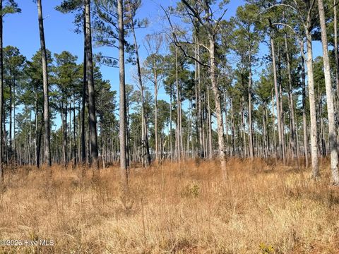 Vacant Land For Sale - Sr 1119 Off<br/> Chocowinity, NC 27817