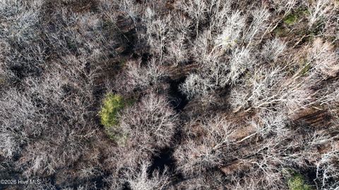 Tiny photo for 00 Shaw Highway, Rocky Point, NC 28457 (MLS # 100556794)