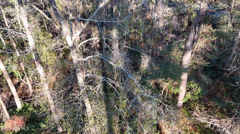 Tiny photo for 00 Shaw Highway, Rocky Point, NC 28457 (MLS # 100556794)