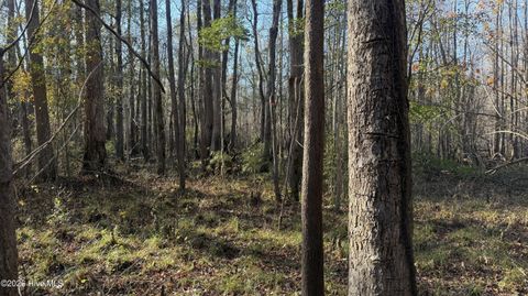 Tiny photo for 00 Shaw Highway, Rocky Point, NC 28457 (MLS # 100556794)