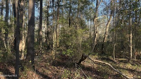 Tiny photo for 00 Shaw Highway, Rocky Point, NC 28457 (MLS # 100556794)