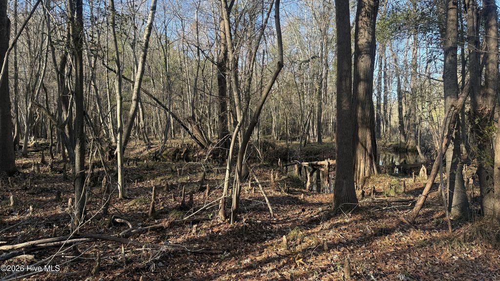 Photo of 00 Shaw Highway, Rocky Point, NC 28457 (MLS # 100556794)