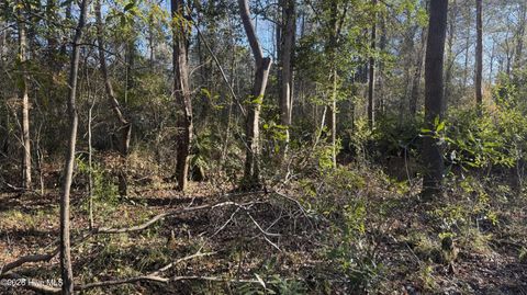 Tiny photo for 00 Shaw Highway, Rocky Point, NC 28457 (MLS # 100556794)