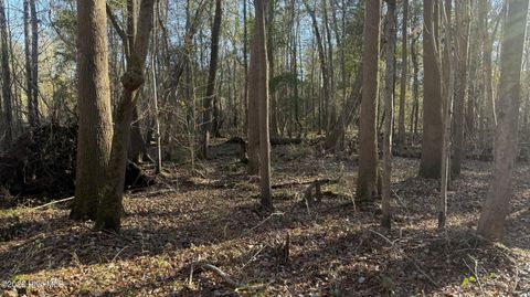 Tiny photo for 00 Shaw Highway, Rocky Point, NC 28457 (MLS # 100556794)