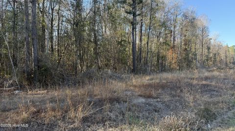Tiny photo for 00 Shaw Highway, Rocky Point, NC 28457 (MLS # 100556794)