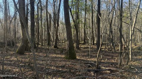 Tiny photo for 00 Shaw Highway, Rocky Point, NC 28457 (MLS # 100556794)