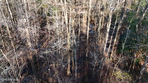 Tiny photo for 00 Shaw Highway, Rocky Point, NC 28457 (MLS # 100556794)