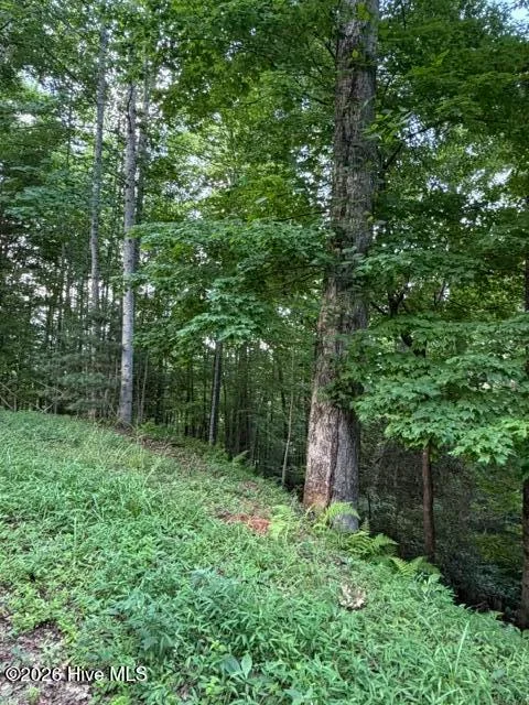 Lot 59 Quiet Mountain Trail