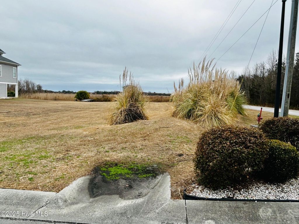 Photo of 100 Brandon Avenue, Hubert, NC 28539 (MLS # 100490485)