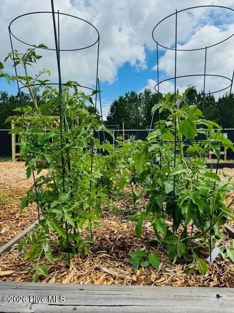 Tiny photo for 9273 Buccaneer Court NE, Leland, NC 28451 (MLS # 100561006)