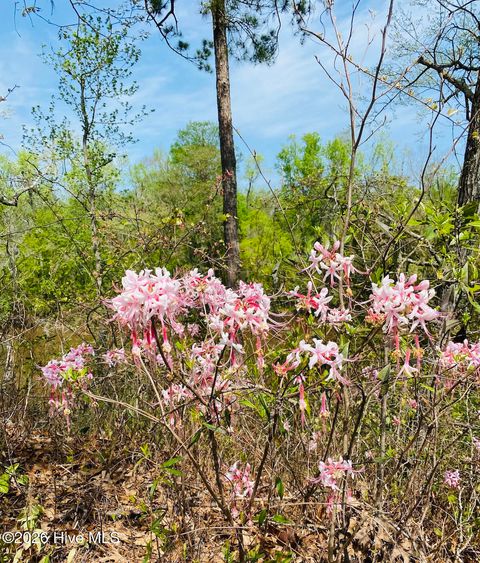 Tiny photo for 9273 Buccaneer Court NE, Leland, NC 28451 (MLS # 100561006)