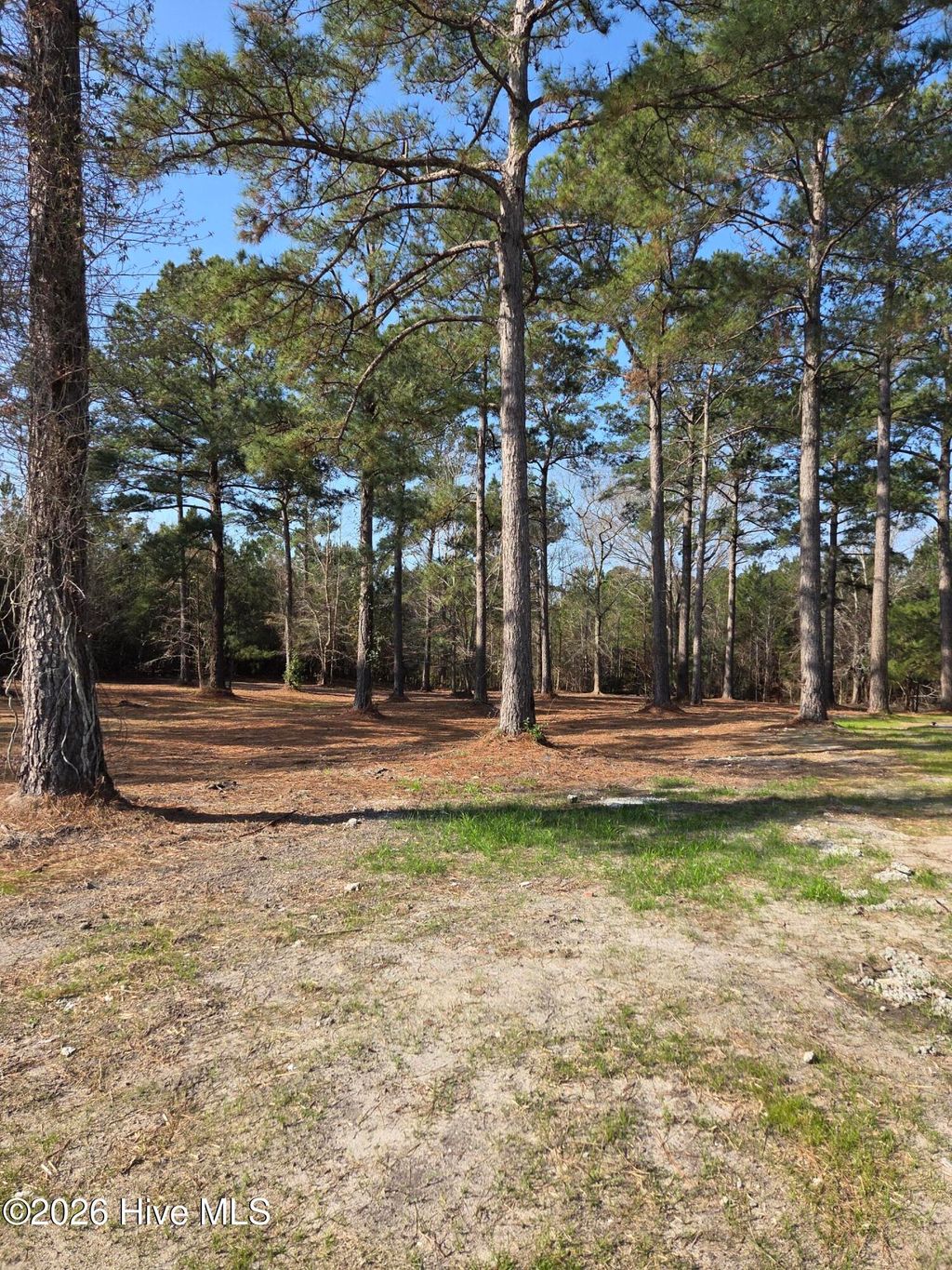 Photo of 7423 Branford Circle SW, Sunset Beach, NC 28468 (MLS # 100557790)