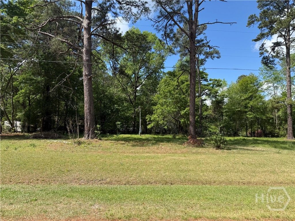 Photo of 210 Wallace Circle, Bloomingdale, GA 31302 (MLS # SA353108)