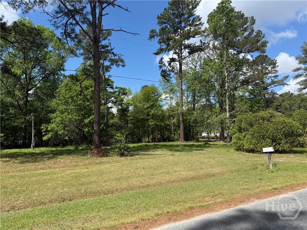 Photo of 210 Wallace Circle, Bloomingdale, GA 31302 (MLS # SA353108)