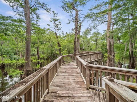 Tiny photo for 221 Estate Road, Atkinson, NC 28421 (MLS # 100571843)