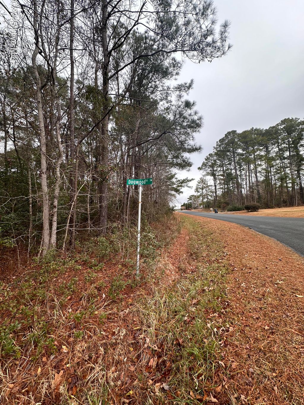 Photo of 159 Dogwood Trail SW, Supply, NC 28462 (MLS # 100533498)
