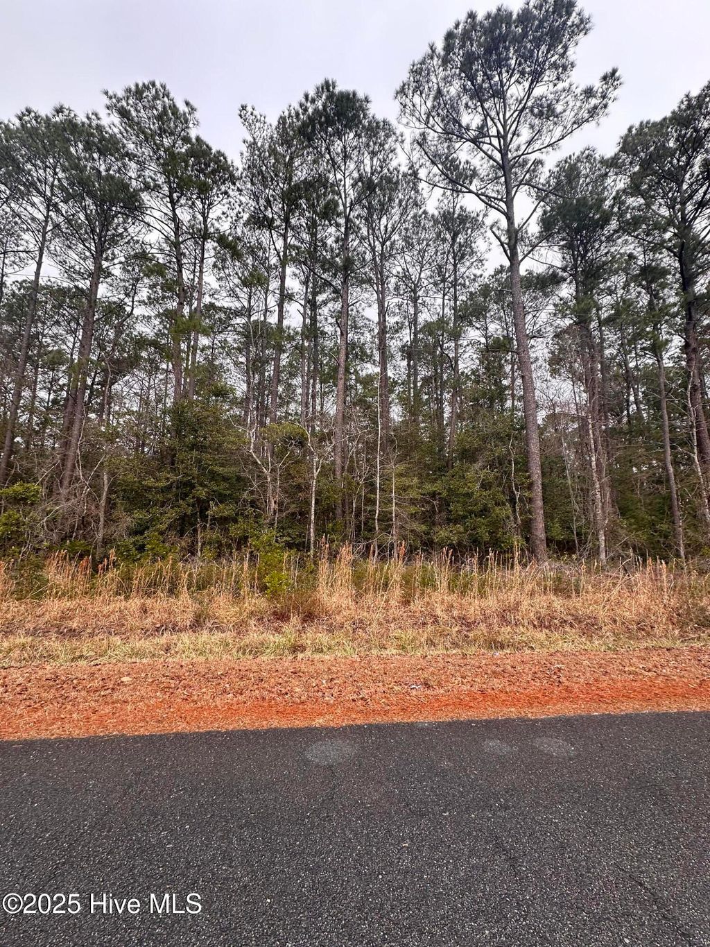 Photo of 159 Dogwood Trail SW, Supply, NC 28462 (MLS # 100533498)