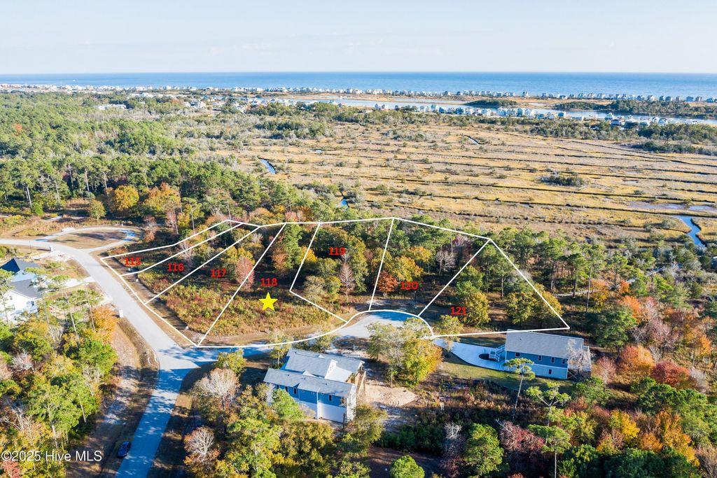 Photo of 401 Harrison Court, Sneads Ferry, NC 28460 (MLS # 100523769)