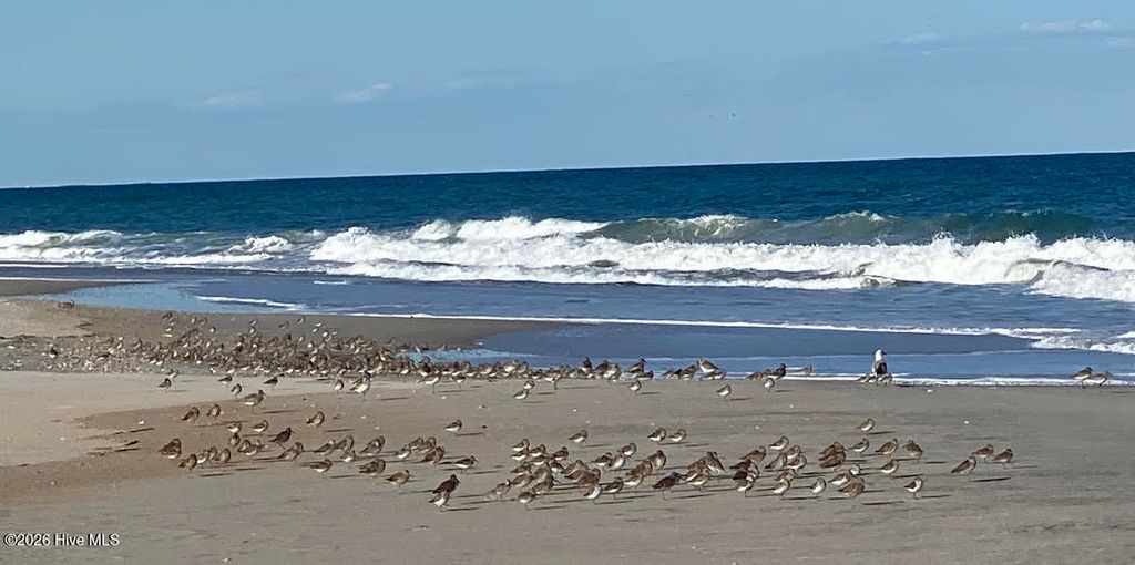 Photo of 3422 Belle Meade Way NE, Leland, NC 28451 (MLS # 100555555)