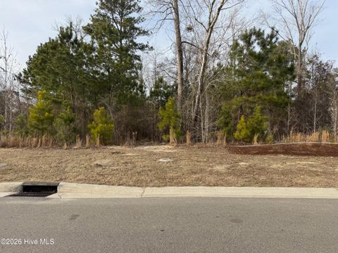 Photo of 3422 Belle Meade Way NE, Leland, NC 28451 (MLS # 100555555)